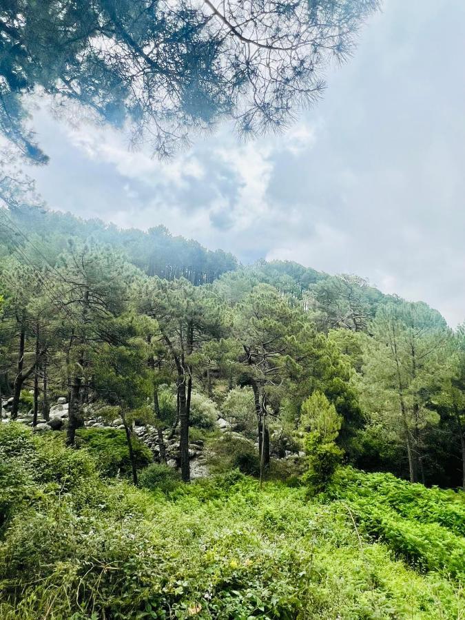 El Latido Del Tietar Βίλα Lanzahita Εξωτερικό φωτογραφία
